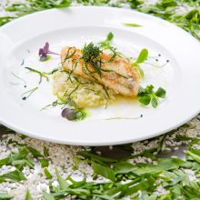 Bärlauch hat jetzt Saison!