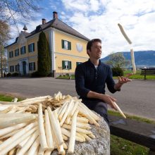 Spargel in den Startlöchern!